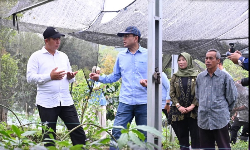 OJK Dukung Percepatan Akses Keuangan Komoditas Kopi Raden Kuning Pagar Alam