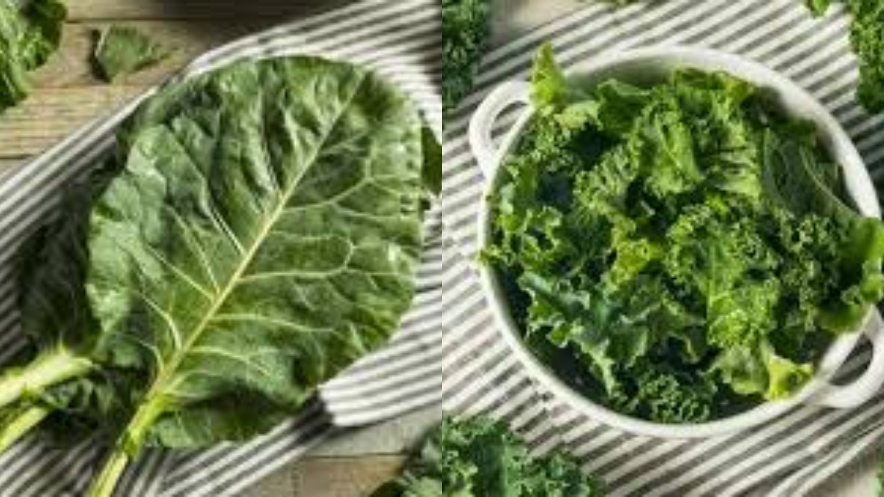 Mengenal Daun Kale: Sayuran Biasa Dengan Manfaat Luar Biasa