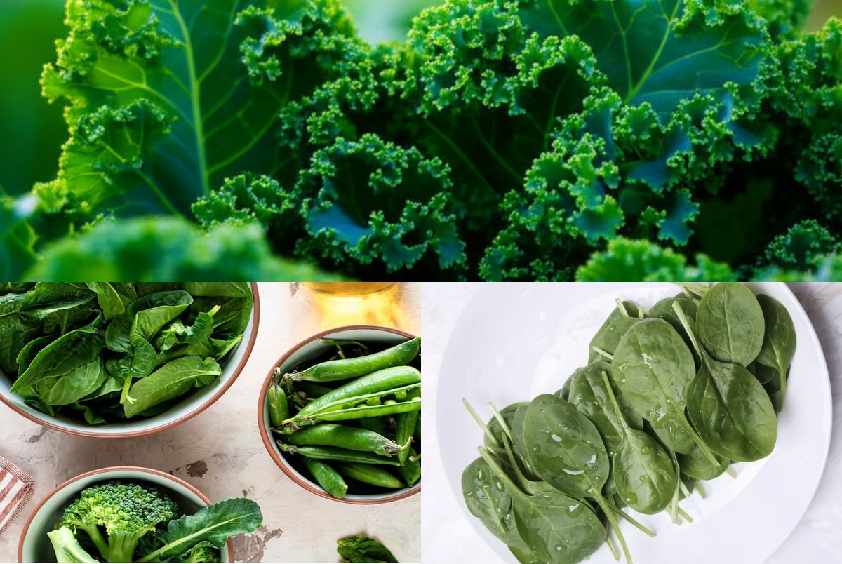 Kale dan Bayam: Superfood Hijau yang Mampu Meningkatkan Kesehatan Tulang Secara Alami