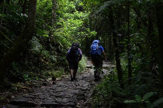 Menjelajahi Keangkeran Gunung Salak, Mengungkap Identitas Makam yang Tersembunyi