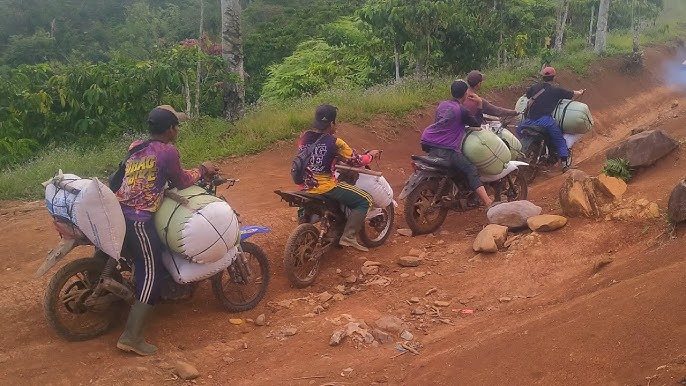 Petani Keluhkan Akses Utama ke Perkebunan, Warga Dusun Bumi Agung Harapkan Pembangunan Infrastruktur Jalan