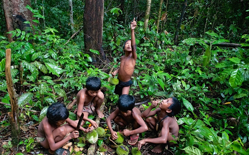 Mengulik Misteri Suku Anak Dalam yang Jadi Penjaga Hutan Rimba dan Miliki Tradisi Leluhur yang Sakral 