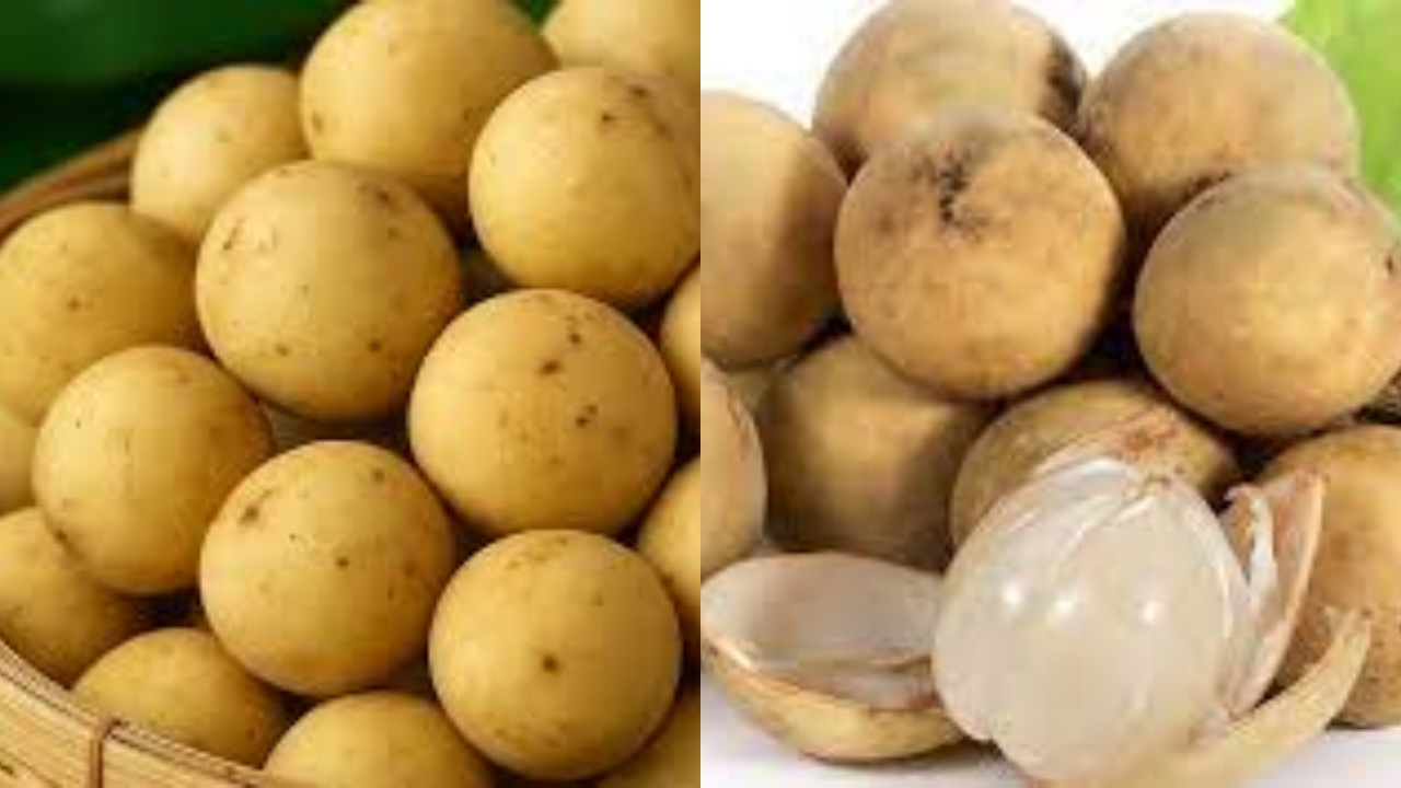 Wajib Tahu Inilah 7 Manfaat Buah Duku Beserta Kandungan Nutrisinya Yang Luar Biasa!