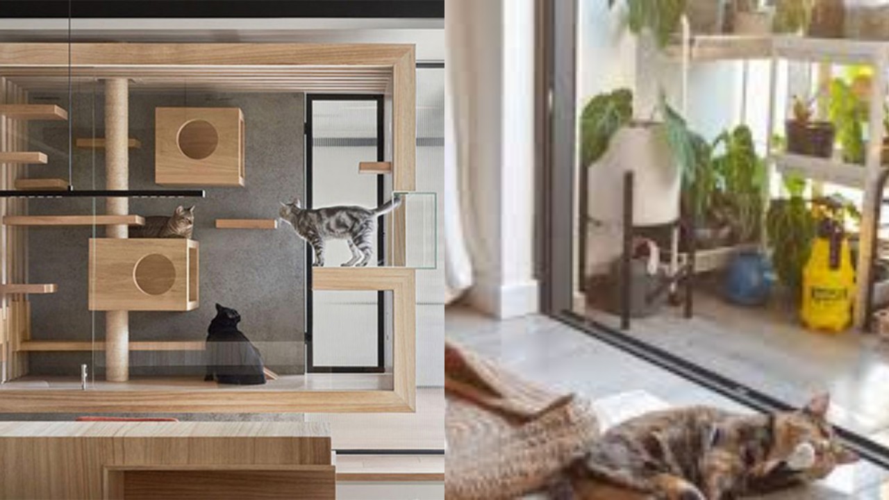 Model Rumah Ramah Hewan Peliharaan yang Tertata Rapi dan Nyaman!