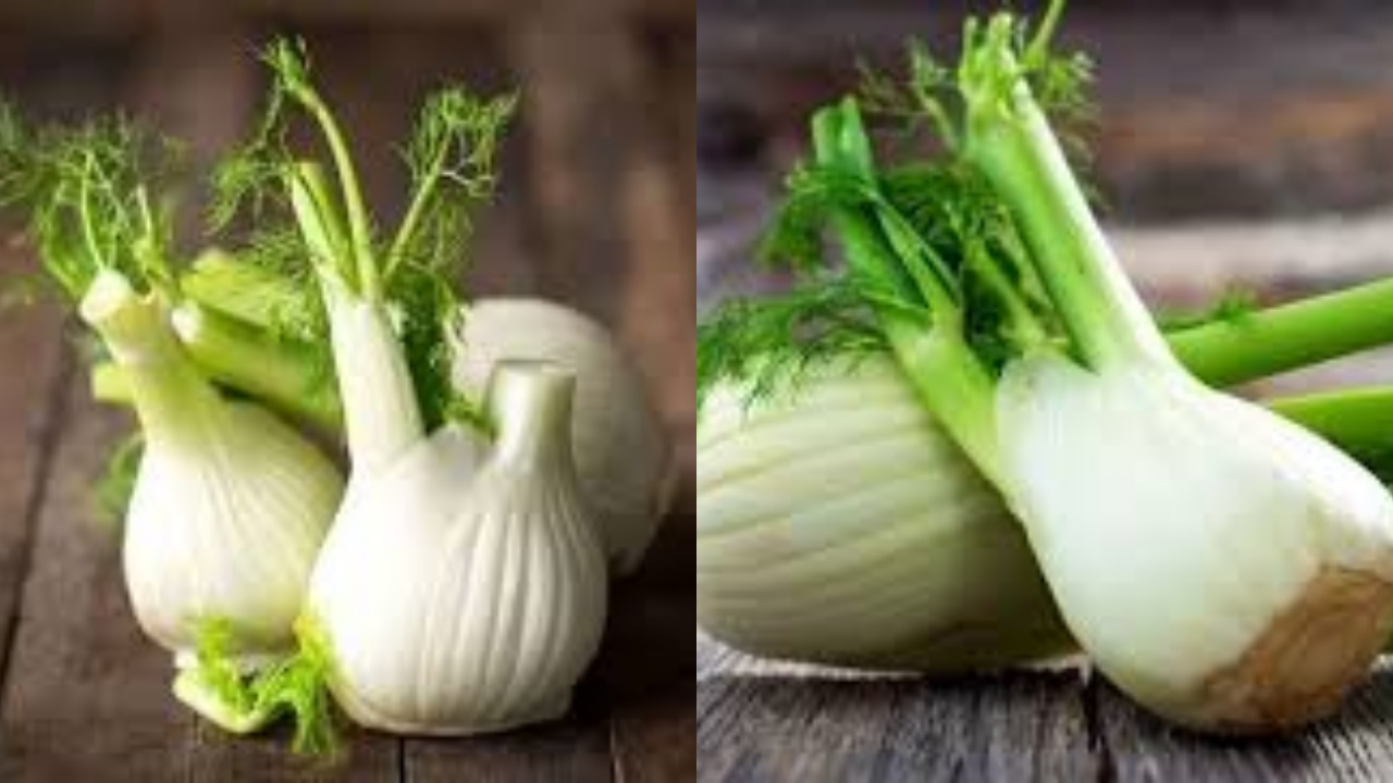 Inilah 6 Manfaat Adas Untuk Ibu Menyusui Yang Jarang Diketahui!