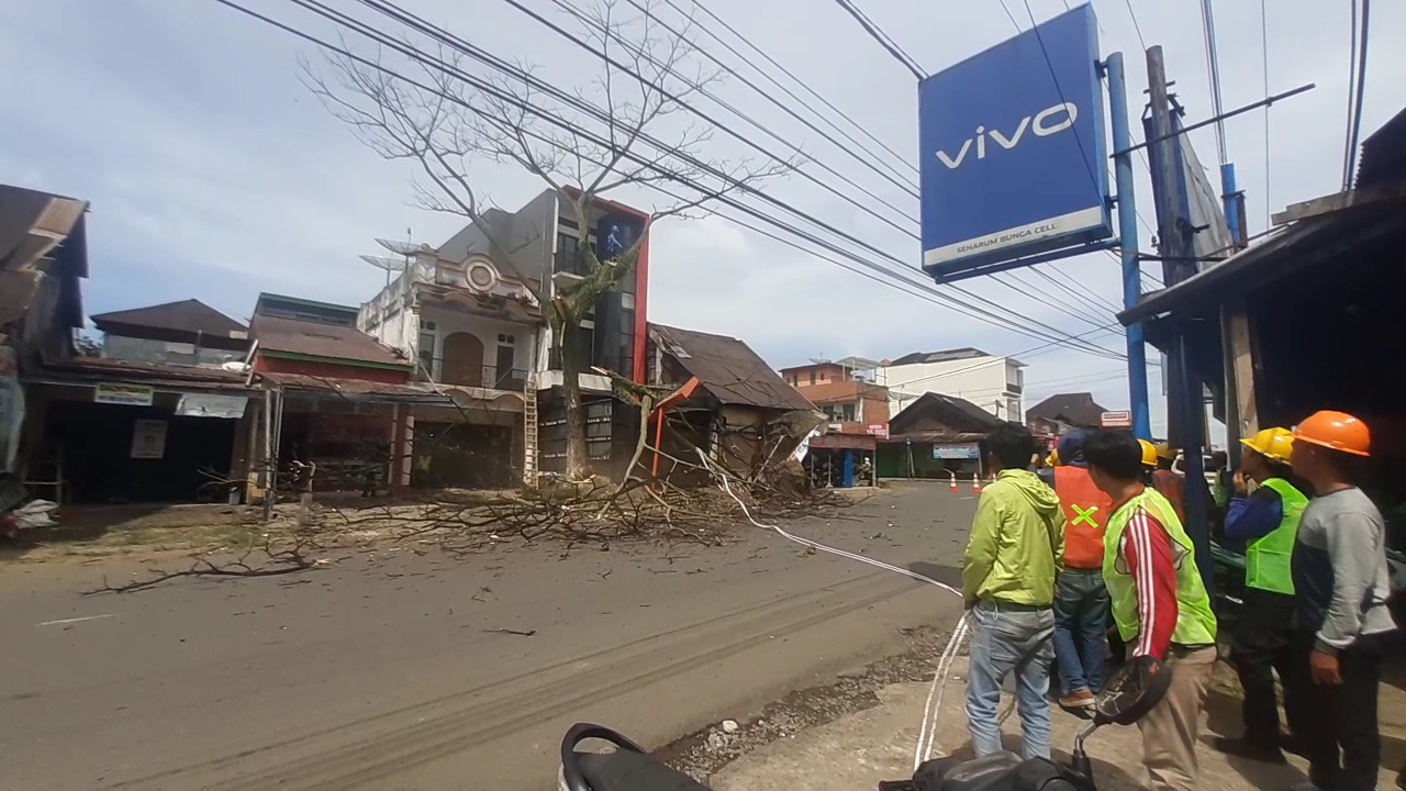 Pangkas Pohon Uzur Rawan Tumbang