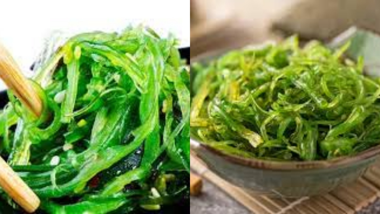 Manfaat Rumput Laut dan Kandungan Nutrisi di Dalamnya Yang Harus Kalian Tahu!