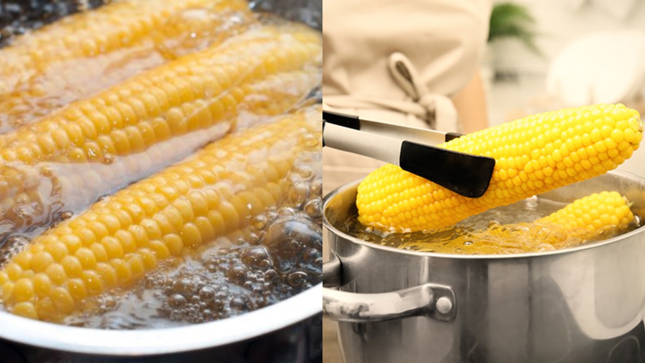 Manfaat Jagung Rebus untuk Ibu Hamil, Sehat dan Bergizi Tinggi!