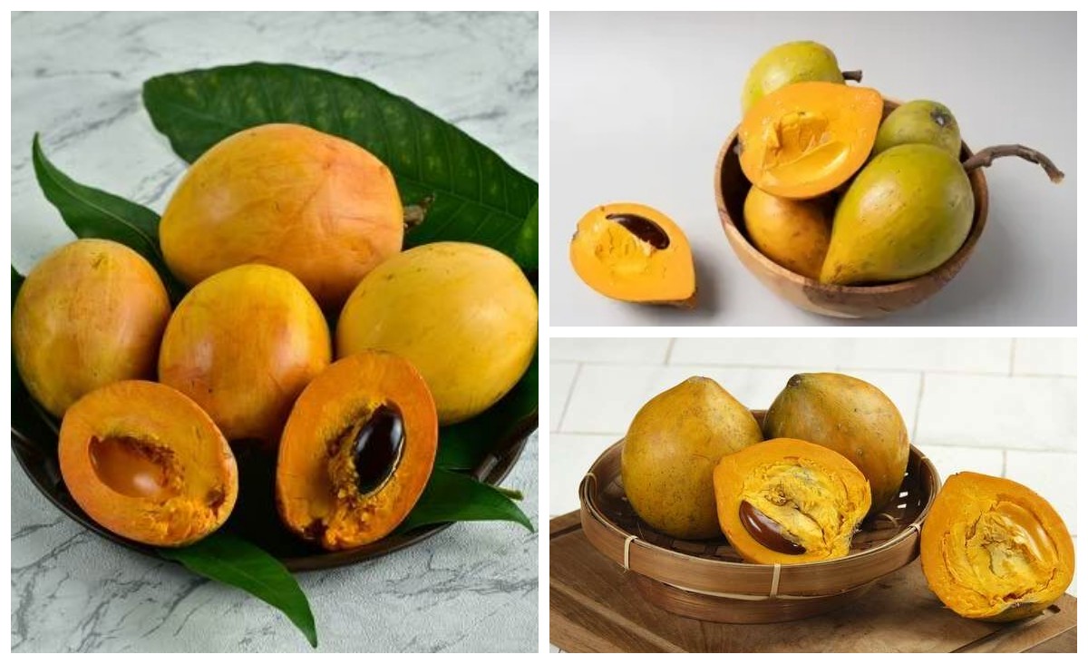 Serba-serbi Manfaat dan Khasiat Buah Campolay untuk Kesehatan Tubuh!