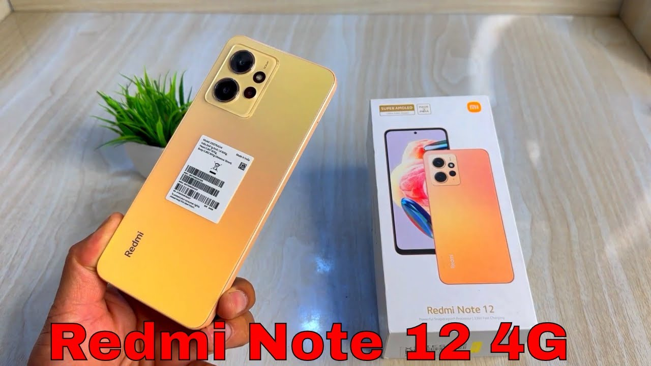 Review Kamera Redmi Note 12, Miliki Hasil Fotografi yang Mengesankan