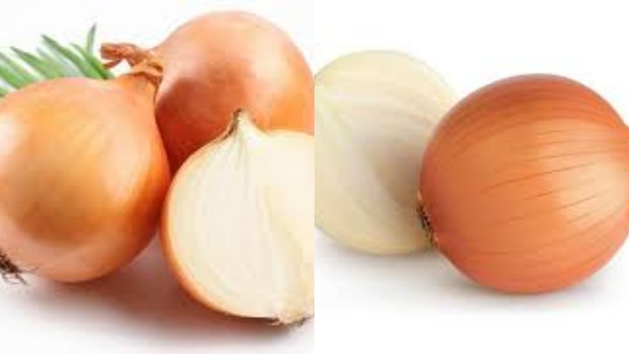 Bawang Bombai: Si Bulat Aromatik Penjaga Jantung dan Imun Tubuh 