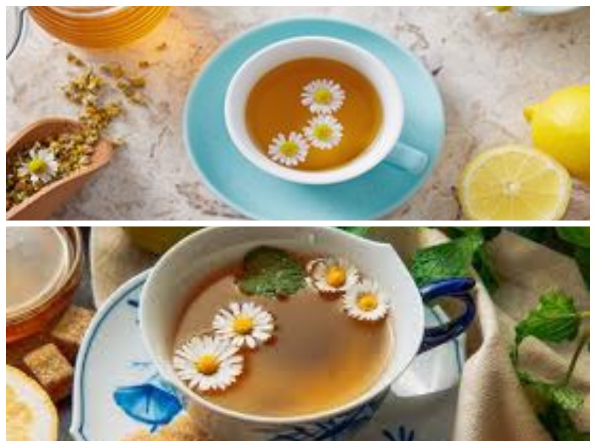 Atasi Asam Lambung Secara Alami dengan Teh Chamomile: Bantu Redakan Nyeri dan Perut Kembung!