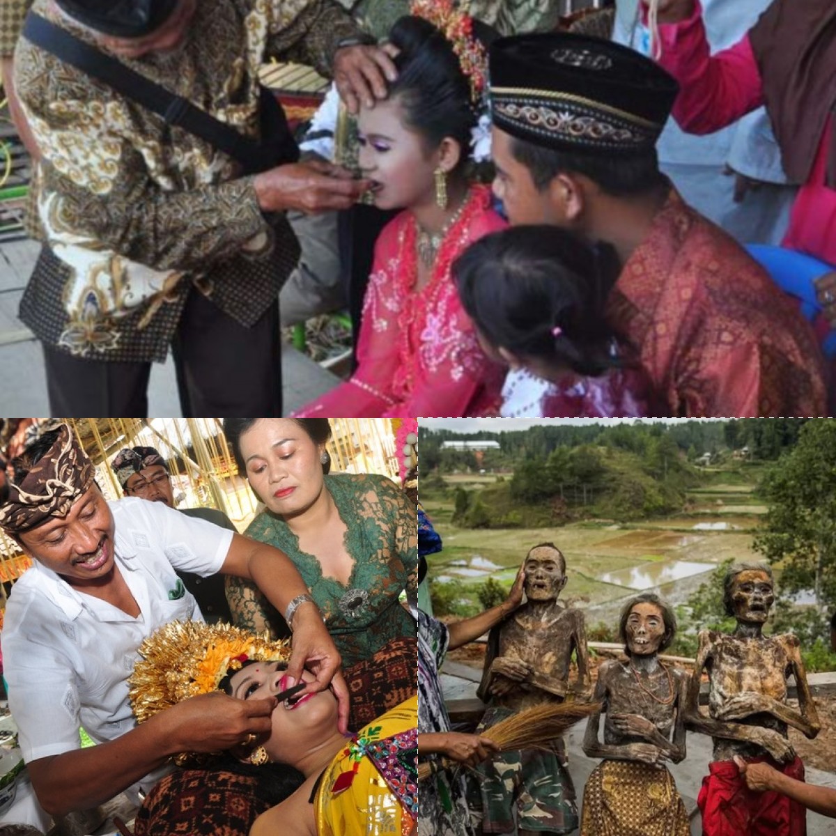 Menelisik Adat Tradisi Upacara di Maluku yang Saat Ini Masih Kental