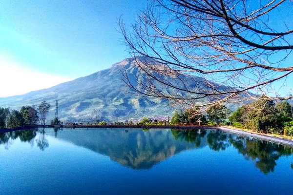 Perdana Mendaki Gunung Sindoro? Ketahui Dulu 8 Daya Tarik dari Gunung yang Punya Negeri Awan yang Cantik!