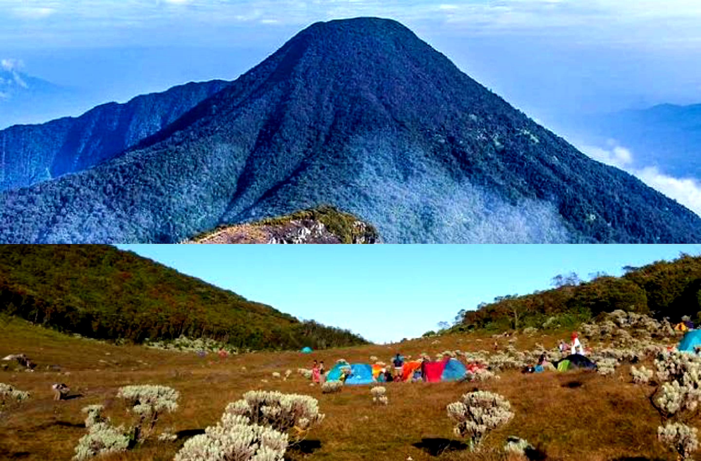 Kengerian Gunung Pangrango. Ternyata Ditunggu Sosok Ini. Simak Fakta Lainnya!