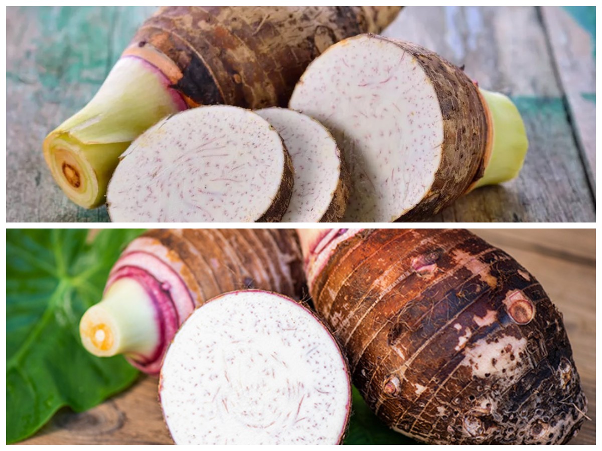 Talas: Kandungan Gizi dan 9 Khasiatnya bagi Kesehatan Tubuh