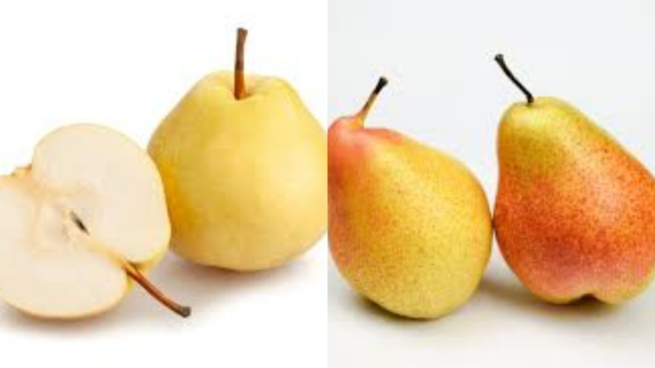 Penting! Inilah 8 Manfaat Buah Pir untuk Kesehatan Tubuh