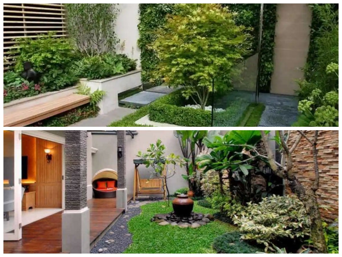 6 Trik Rahasia Ubah Lahan Sempit Jadi Taman Depan Rumah yang Super Adem dan Estetik!
