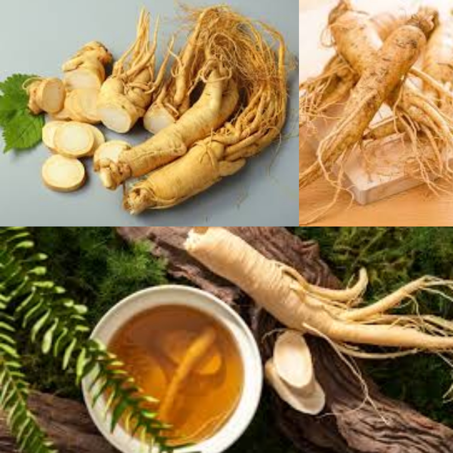 Ternyata Konsumsi Ginseng Dapat Meningkatkan Mood Loh, Yuk Kita Lihat Manfaat Lainnya!