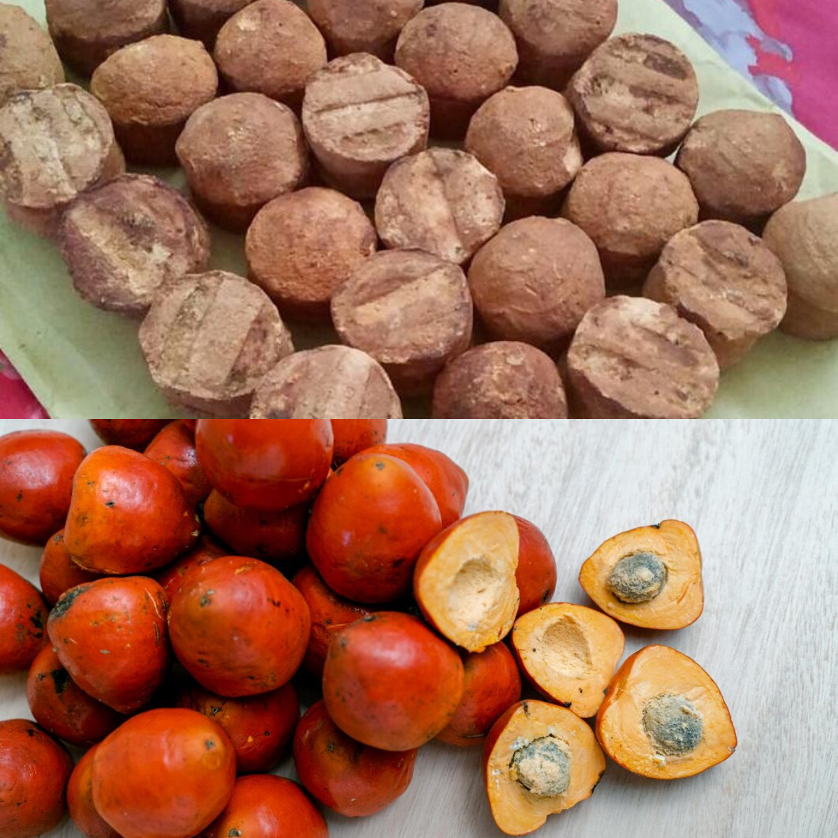 Buah Gambir, Pelajari 8 Manfaatnya bagi Kesehatan!