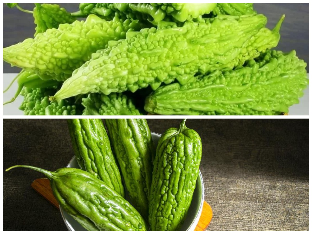 Tak Sekadar Pahit, Ini Deretan Manfaat Pare yang Menakjubkan untuk Kesehatan