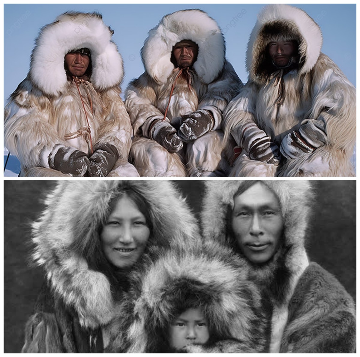 Tradisi Berbagi Pasangan dalam Masyarakat Eskimo: Benarkah Pernah Dilakukan sebagai Bentuk Keramahan?