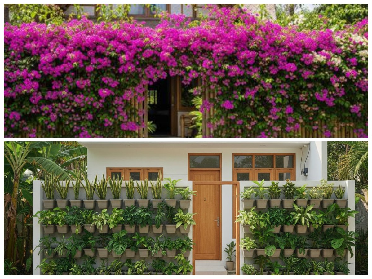 Sentuhan Hijau di Depan Rumah: Ide Teras Natural dengan Pagar Tanaman Hidup 2026