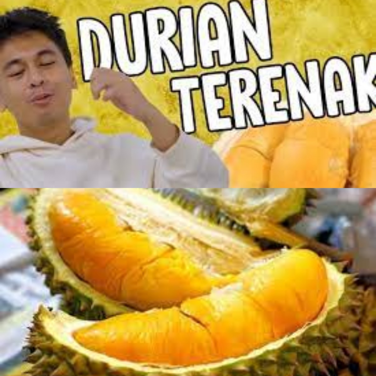 Selain Durian King, Inilah 6 Jenis Durian Paling Rekomendasi Terbaik di Indonesia! 