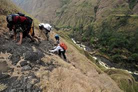 Spesies Ini Hampir Musnah, Ini 4 Hewan Langka Di Gunung Rinjani