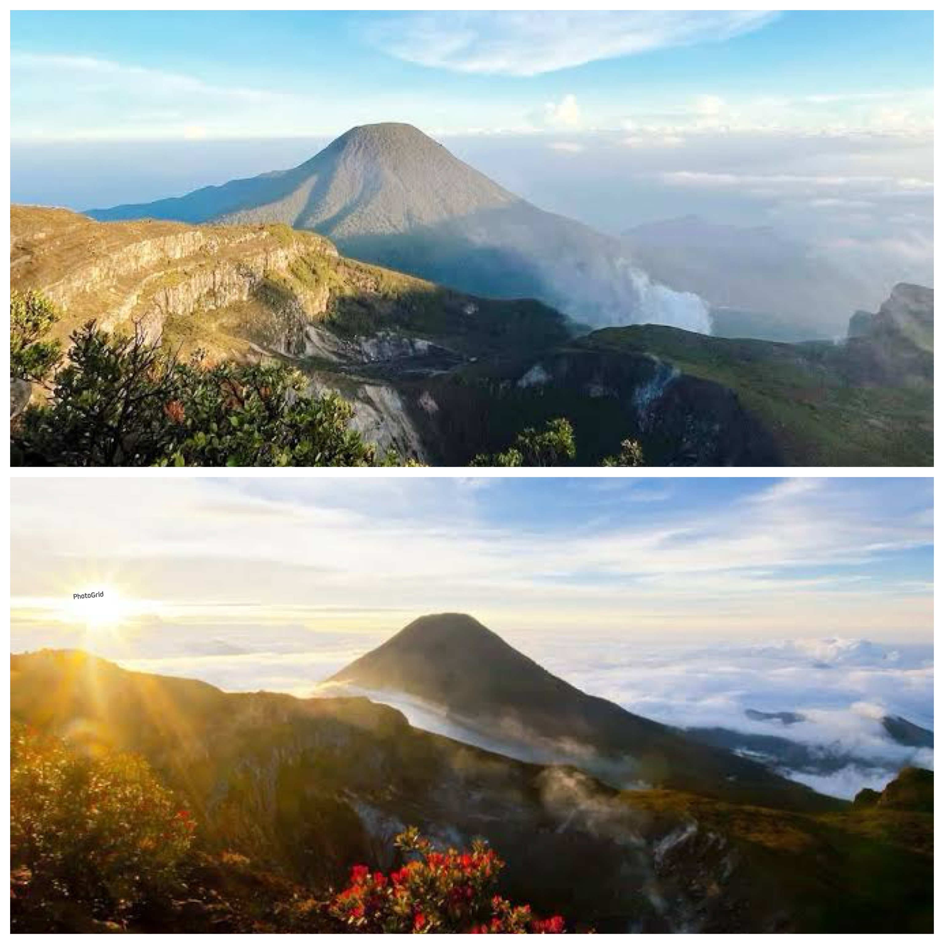 Sejarah dan Misteri Gunung Pangrango: Antara Keindahan Alam dan Aura Gaib di Puncak Jawa Barat!