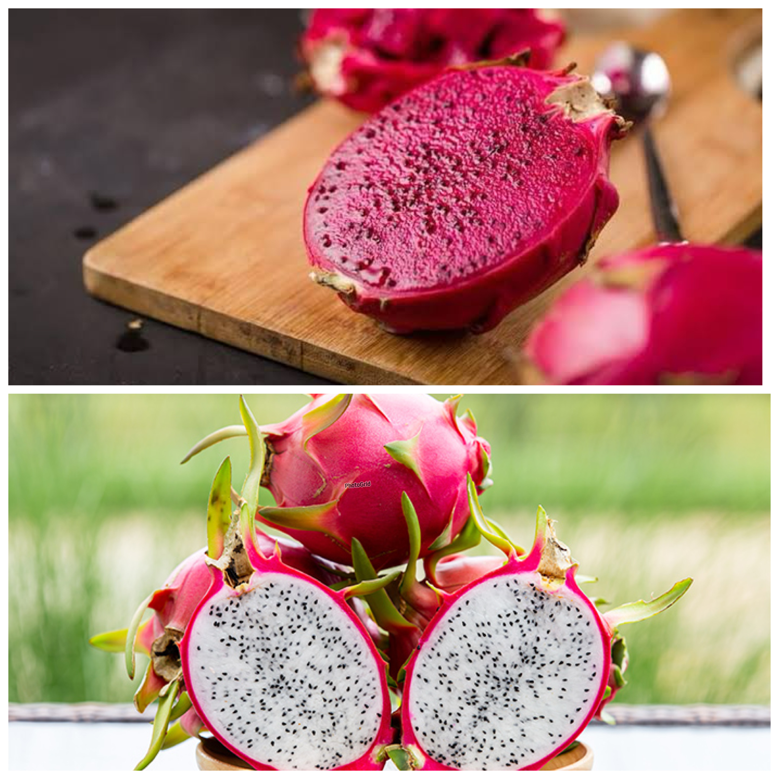 Khasiat Buah Naga untuk Kesehatan, Superfood Kaya Nutrisi yang Baik Dikonsumsi Setiap Hari