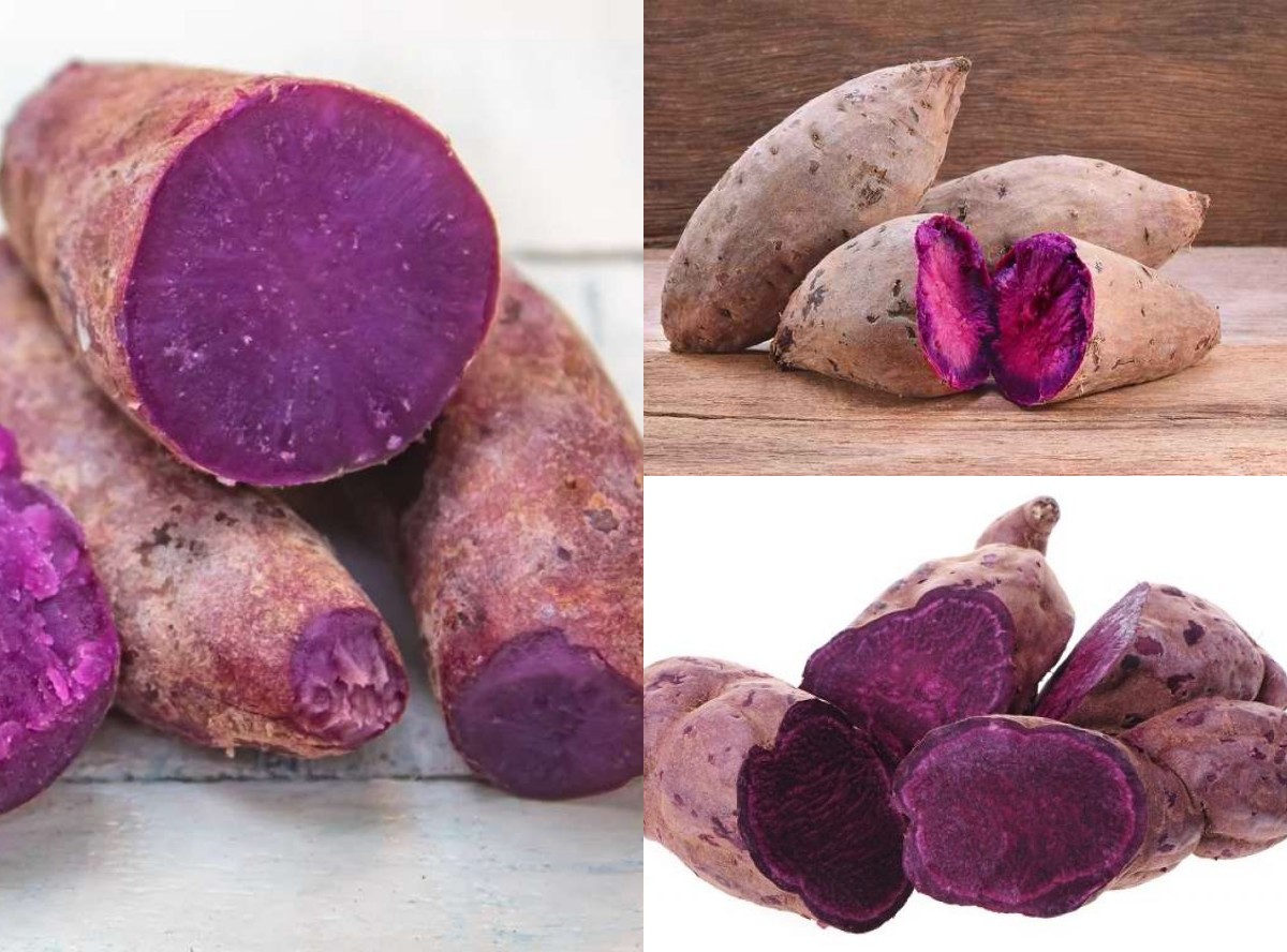 Manfaat Ubi Ungu bagi Kesehatan Tubuh: Sumber Antioksidan Alami yang Kaya Gizi dan Baik untuk Jantung!