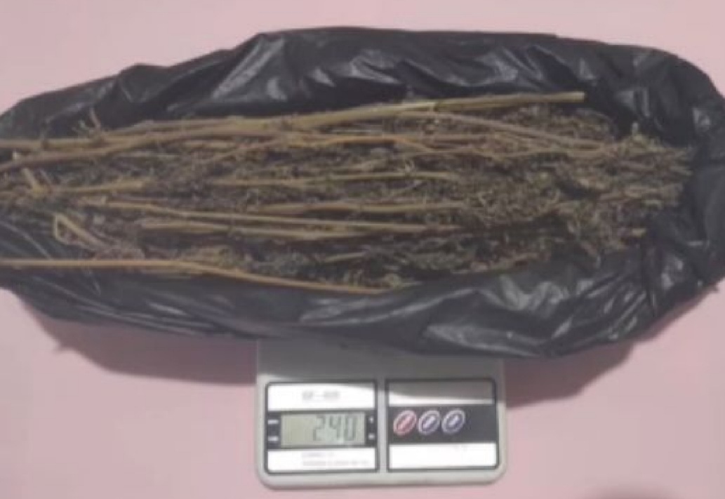 ABG Nekat Edarkan Ganja, Diciduk di Terminal Nendagung Saat Menunggu Pemesan 