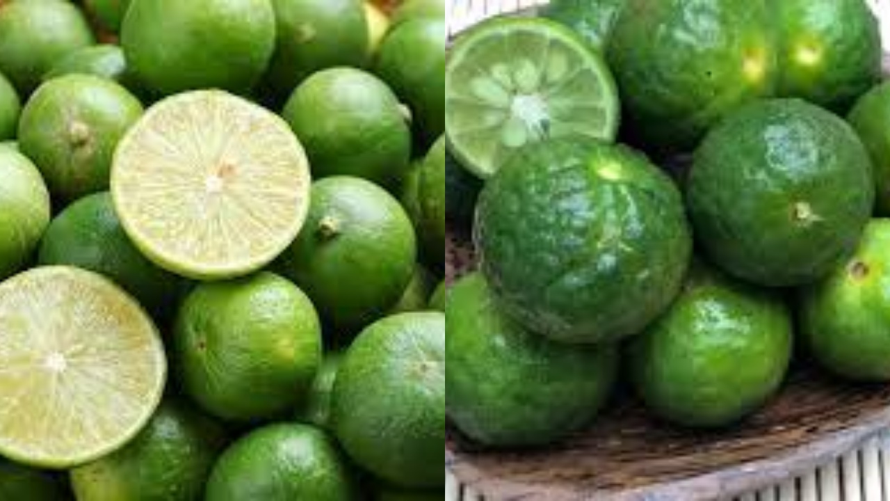 Yuk Intip! Ini 8 Manfaat Jeruk Limau Untuk Kesehatan Tubuh Yang Luar Biasa