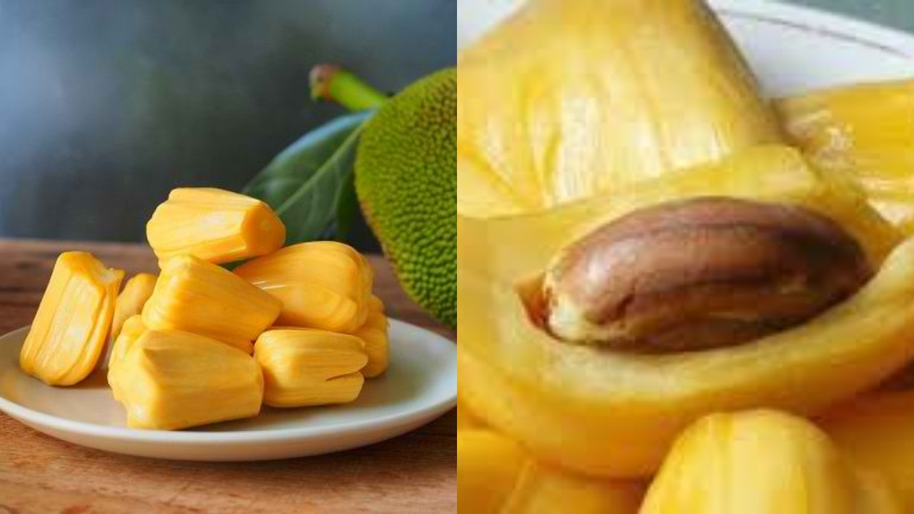 Kaya Serat dan Vitamin, Ini Manfaat Buah Nangka untuk Kesehatan!