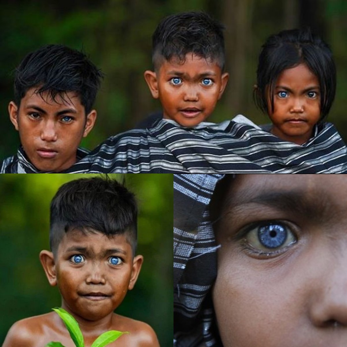 Suku-Suku di Indonesia dengan Mata Biru? Ternyata Aceh Termasuk Salah Satunya!