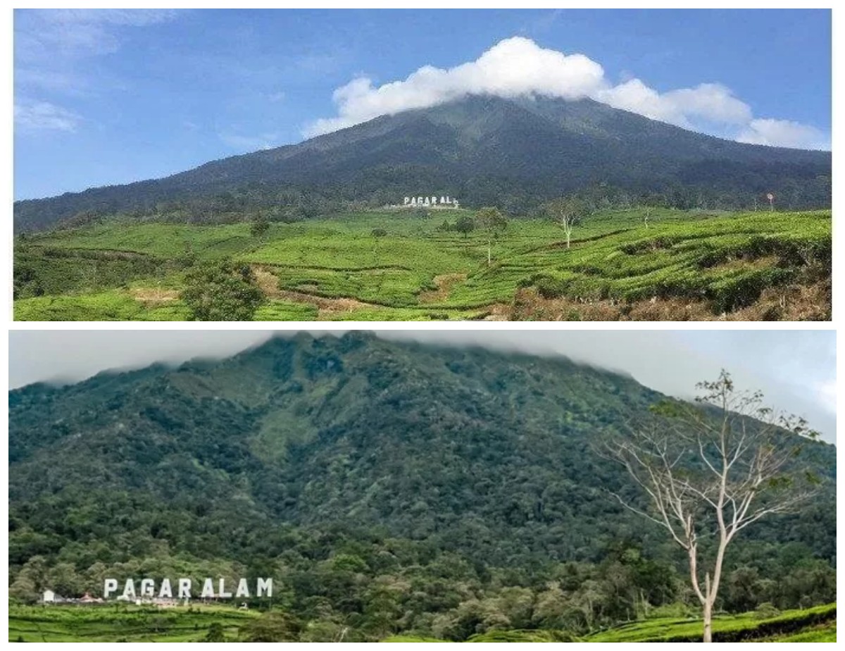 Desain Motif Angkat Kekayaan Pagaralam