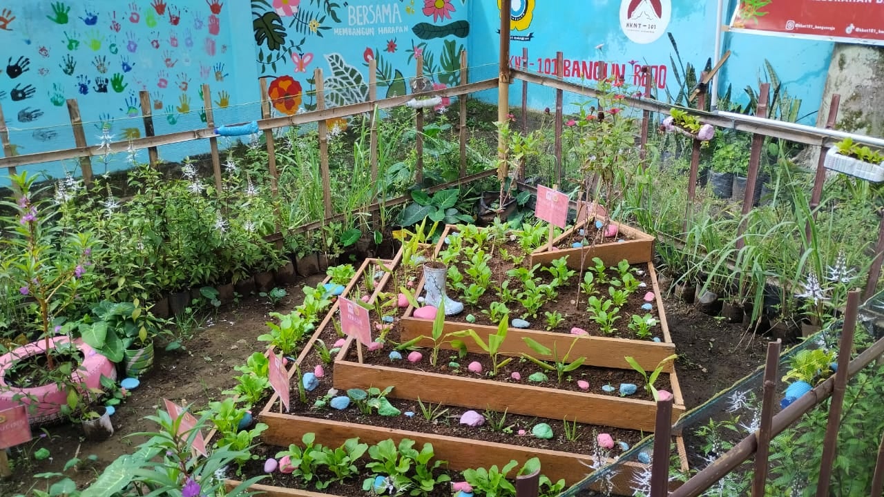 Sebegini Banyak Manfaatnya,  Lurah Bangun Rejo Ajak Budidaya TOGA di Perkarangan