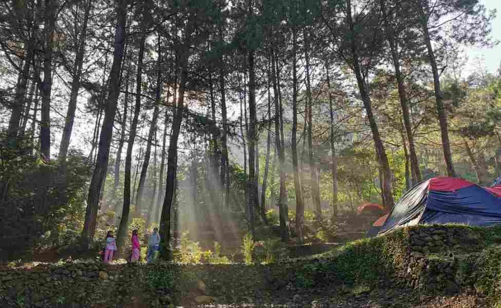 Ini Dia! 5 Lokasi Camping Ground Paling Hits Di Bogor