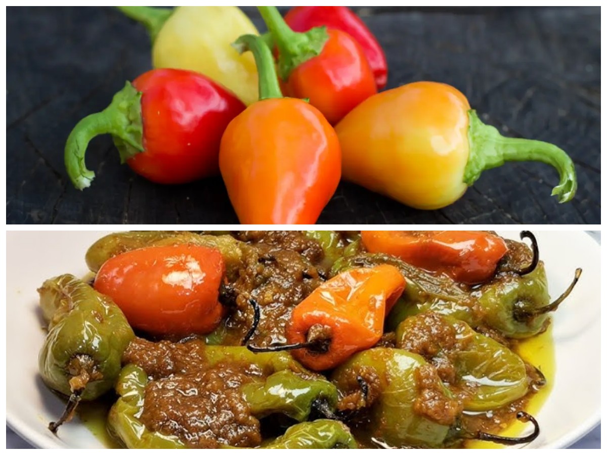 Rahasia Cabe Gendut: Bumbu Pedas yang Bisa Bantu Turunkan Berat Badan!