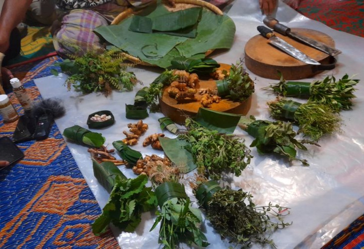 Sudah Tahu Obat Tradisional dari Suku Alas? Yuk, Temukan Manfaatnya!