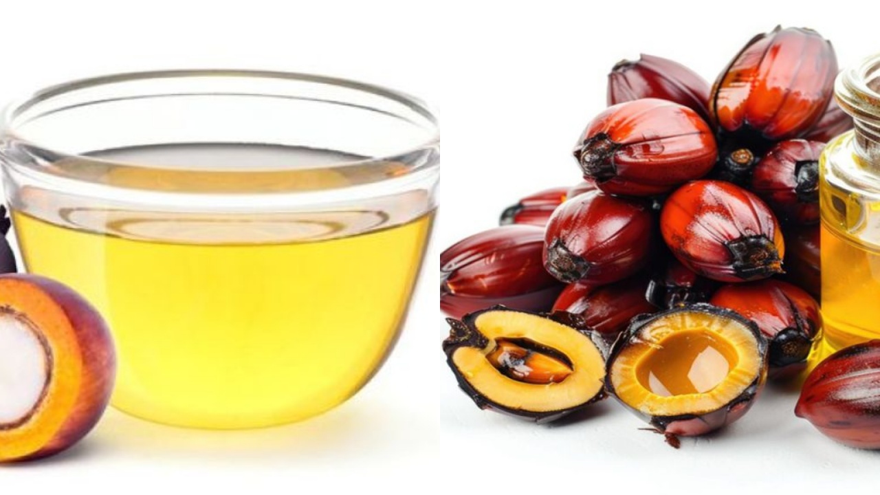  Inilah 5 Manfaat Minyak Kelapa Sawit untuk Tubuh Yang Harus Kalian Tahu!