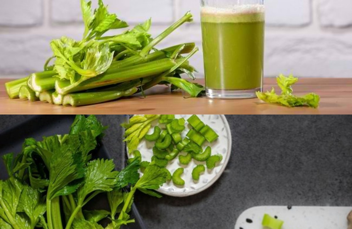 5 Manfaat Rebusan Daun Seledri untuk Kesehatan, Cara Membuat dan Aturan Konsumsinya