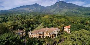Gegerkan Dunia! Benarkah Ada Penemuan Istana Seluas 5 Hektare di Tengah Hutan Jawa Timur