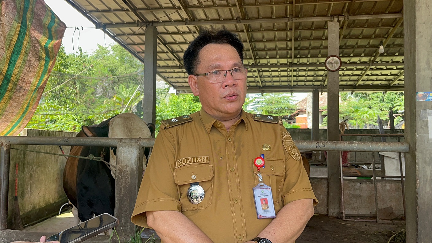 Kejar Swasembada Daging, DKPP Sumsel Siapkan Lima Sentra Peternakan