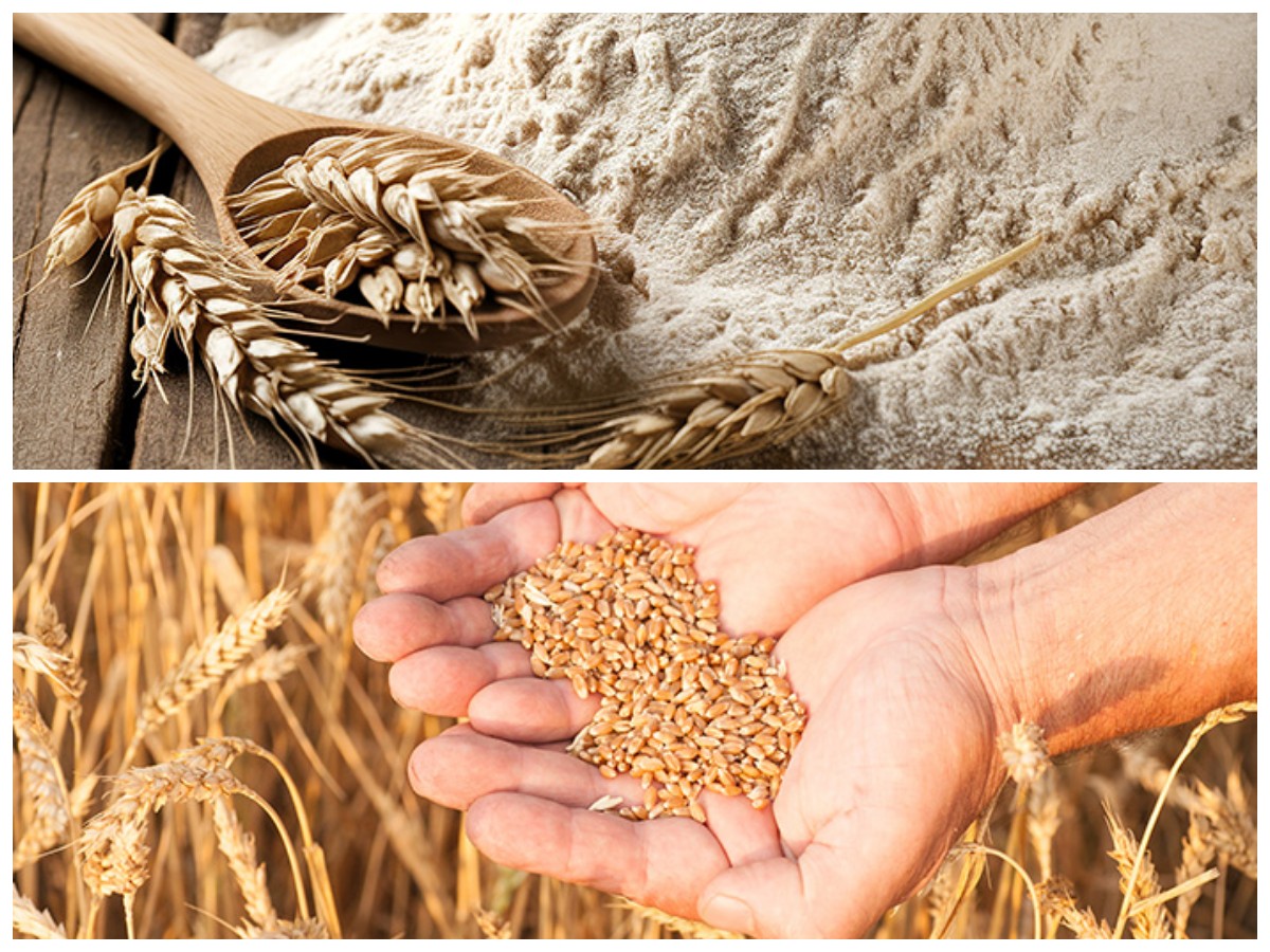 Ingin Diet Lebih Efektif? Ini Alasan Gandum Utuh Layak Jadi Menu Andalan!
