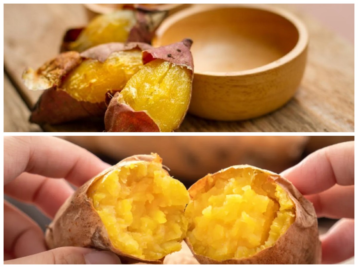 Manfaat Ubi Cilembu untuk Ibu Hamil: Sumber Nutrisi Alami Penunjang Kehamilan Sehat!