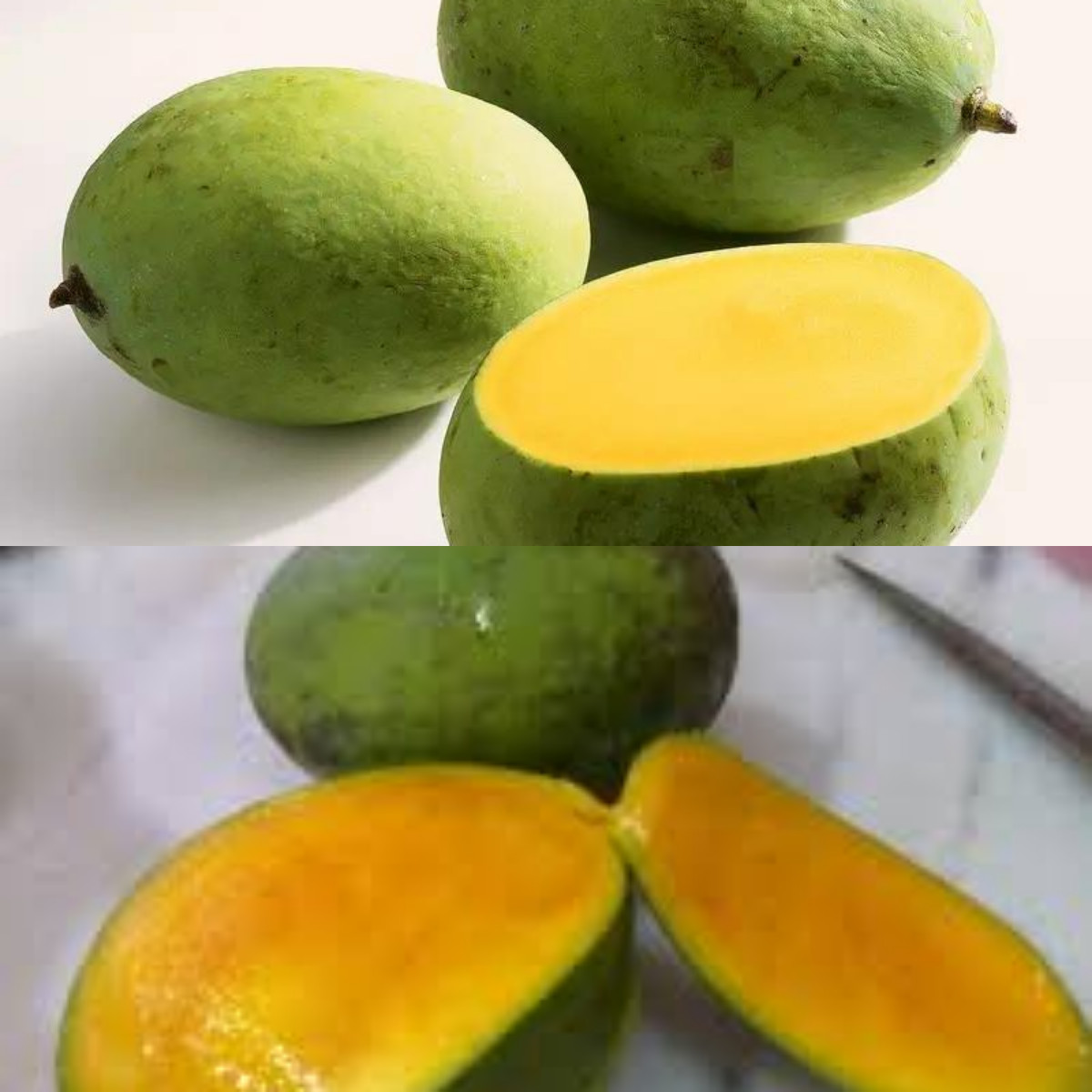 Mangga Kweni, Nutrisi dan Manfaat Kesehatan!