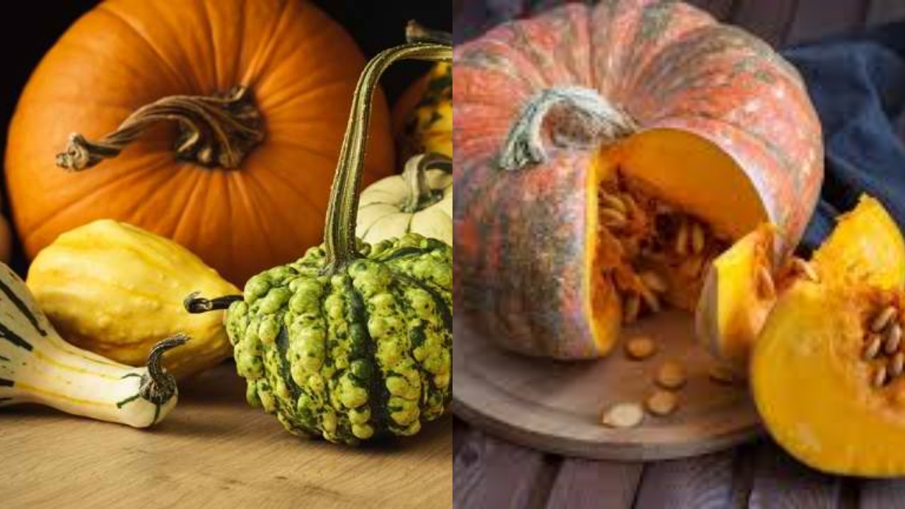 Labu: Superfood Terjangkau dengan Segudang Manfaat Kesehatan!