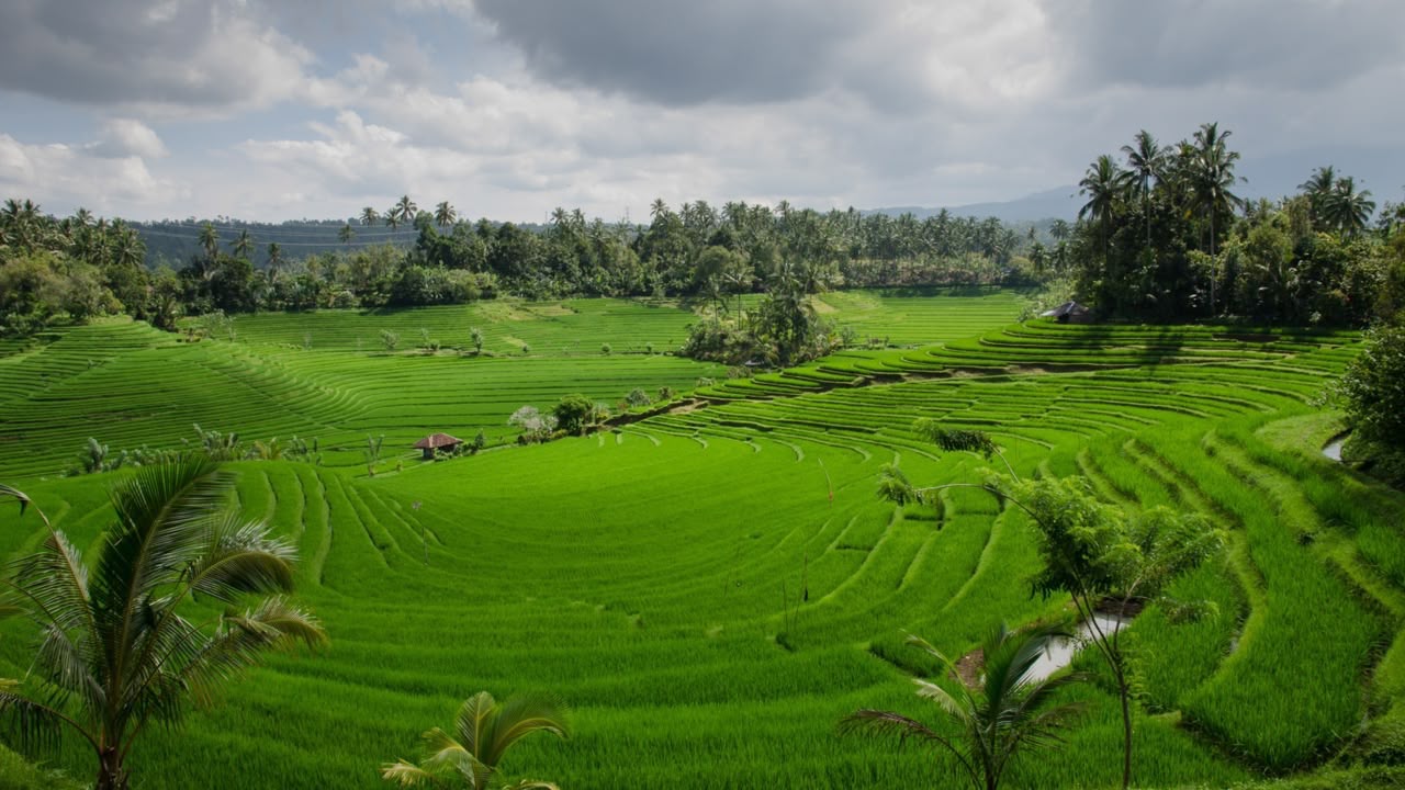 LP2B Nasional Tembus 87,63 Persen, Pemerintah Percepat Integrasi ke Tata Ruang